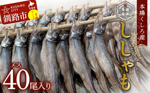 【期間限定！寄附額改定↓！】本場くしろ産 ししゃもメス40尾入り！ 本ししゃも 魚 ししゃも 魚好きのメス プチプチたまごのメス 魚介 グルメ シシャモ 北海道産 国産 魚 魚介 海の幸 F5F-0137