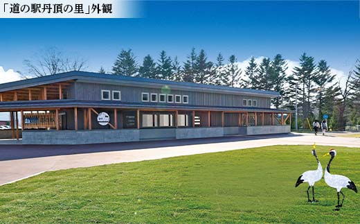 【期間限定！寄附額改定↓！】★赤いベレー 共通利用券★ 1,000円×5枚（宿泊・レストラン飲食・日帰り入浴で利用可） 北海道釧路市 温泉 宿泊 飲食 日帰り入浴 チケット クーポン 施設利用券 旅行 レジャー お食事券 入浴券 観光 F5F-0142