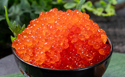 鱒いくら醤油漬け 250g×2 (500g) パック 小分け 海鮮 魚介 グルメ 魚卵 人気 ご飯のお供 ごはん 米 いくら丼 ギフト 年末年始 北海道 釧路市 F5F-0175