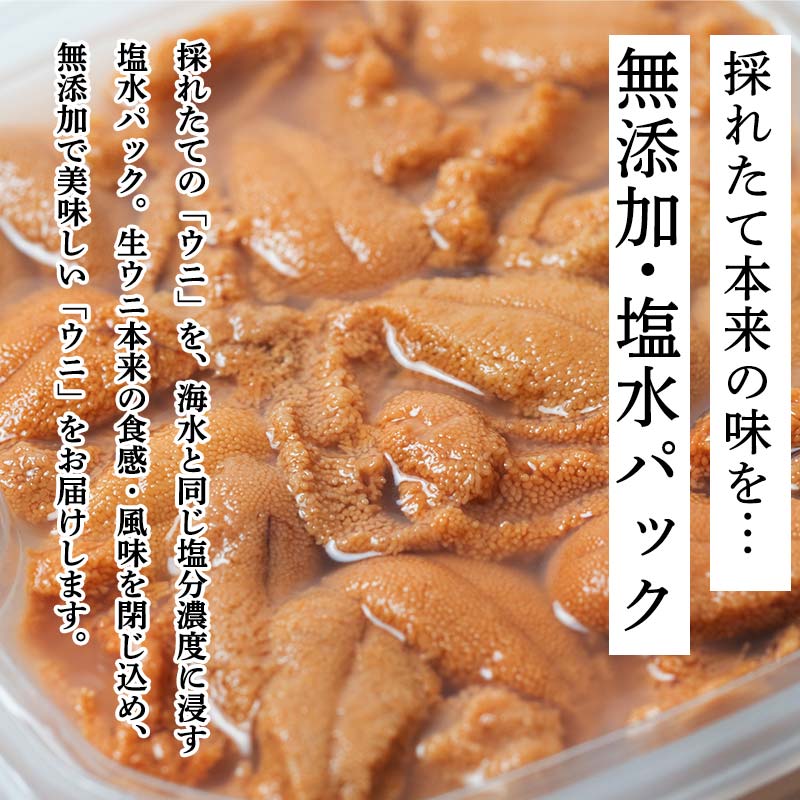 【特選】塩水ウニ 100g（エゾバフンウニ） うに 雲丹 ミョウバン不使用 海鮮丼 寿司 冷蔵 F4F-0313