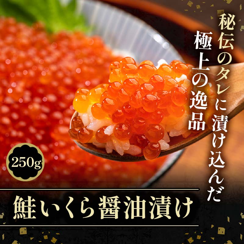 北の味覚海鮮3点定期便 いくら250g サーモン400g ほたて500g 海鮮丼 セット 鮭 シャケ サケ 魚卵 海鮮 海鮮セット 海鮮醤油漬 刺身 福袋 定期便 頒布会 3か月 3回 F4F-5216