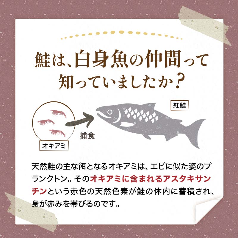 天然紅鮭切り身（1袋4切入り200g×3袋） さけ サケ しゃけ 紅サケ 魚 ご飯のお供 お弁当 おかず 北海道 海産物 F4F-3912