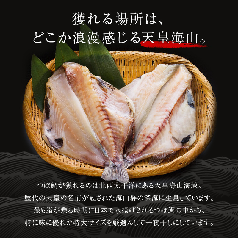 釧之助 極旨つぼだい半身100g×3パック セット 北海道 釧路 ふるさと納税 つぼ鯛 鯛 一夜干し干物 魚 魚介 海産物 高級魚 F4F-4244