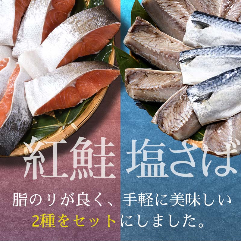 昆布だし仕込 天然紅鮭厚切り8切＆北海道産 無添加 塩さばフィレ8枚＜釧之助 ご飯に合うおかずの定番＞ 北海道 笹谷商店 釧之助 無添加 天然 甘塩 塩分控えめ 昆布紅 利尻昆布使用 F4F-4257