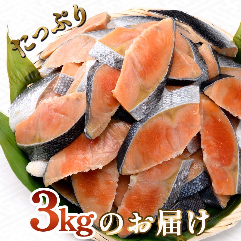 【期間限定！寄附額改定↓！】訳あり 紅鮭 約3kg 鮭 打ち身 わけあり しゃけ サーモン 切り身 サケ さけ わけあり 規格外 不揃い 切り落とし 釧路市 北海道 F4F-8287