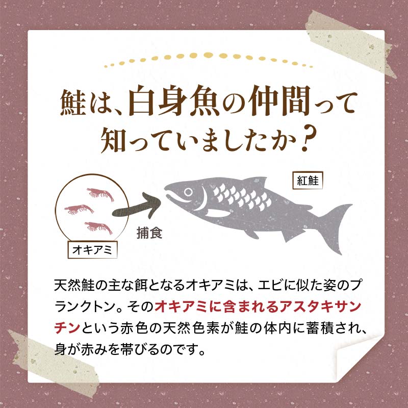 縲先悄髢馴剞螳夲シ∝ッ髯鬘肴隼螳壺難シ√代千音驕ク縲大、ゥ辟カ逕伜。ゥ邏魄ュ蛻繧願コォ1.4kg 魄ュ 繧オ繧ア 縺輔¢ 魄ュ 邏魄ュ 蛻霄ォ 豬キ魄ョ 豬キ逕」迚ゥ 縺励c縺 繧キ繝」繧ア 蛹玲オキ驕 縺翫°縺 譛晞」 蠑∝ス F4F-8552