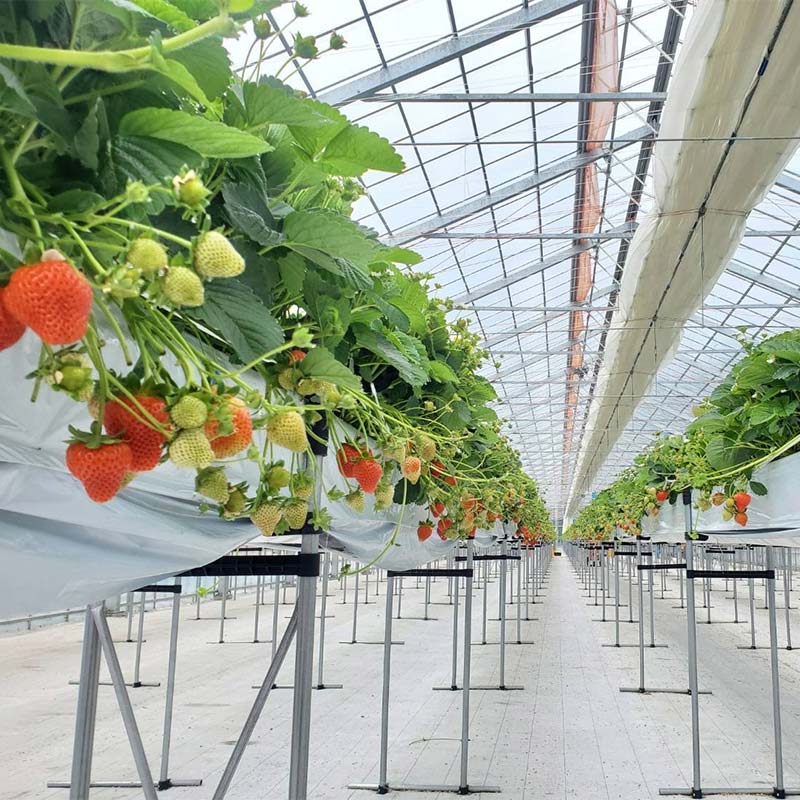 ãæééå®ïŒå¯é顿¹å®âïŒãïŒç¡å°çšæããïŒ 2026幎å
è¡äºçŽ åæµ·éç£ãã¡ã ããããã 32ïœ60ç²Ã3ç®±ã2026幎 6ææ« ããé æ¬¡çºéã å€ãã¡ã ã€ããŽ èº ãã«ãŒã æç© ãžã£ã ã¹ã€ãŒã èŽççš ã®ãã åœç£ åæµ·é é§è·¯åž F5F-0108