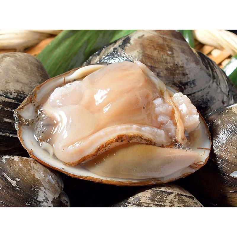 【活加工】剥きほっき（刺身用）1.5kg（10玉前後）×3袋 ほっき ほっき貝 ホッキ ホッキ貝 北寄 北寄貝 【6月上旬～11月上旬発送不可】