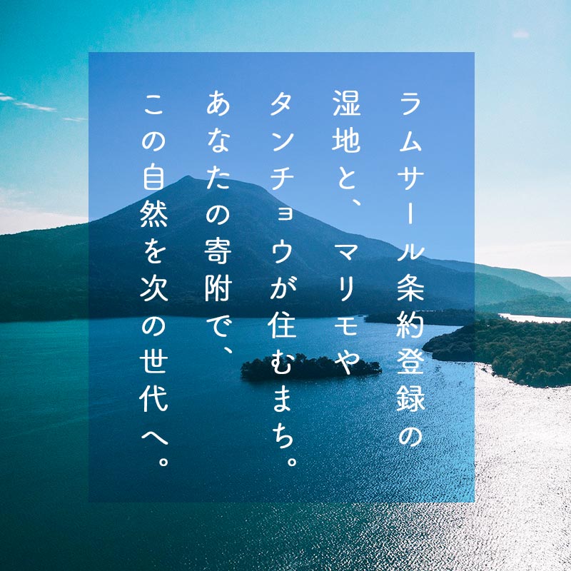 あなたの寄附が自然を守る、未来へつなぐ　釧路湿原等自然環境保全支援 【返礼品なし】100000円  shizen05
