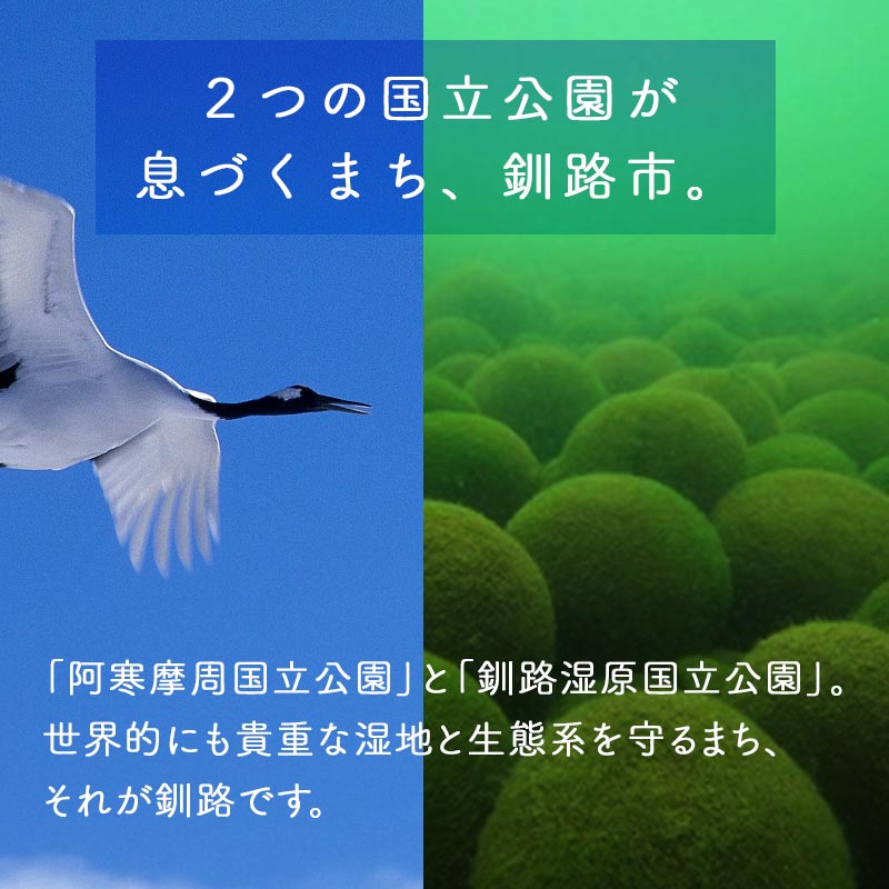 あなたの寄附が自然を守る、未来へつなぐ　釧路湿原等自然環境保全支援 【返礼品なし】100000円  shizen05