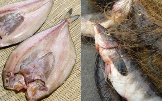 釧路産・開き真ホッケ5枚 魚 魚介 海産物 干物 おかず 肴 ふるさと納税 ほっけ F4F-8606