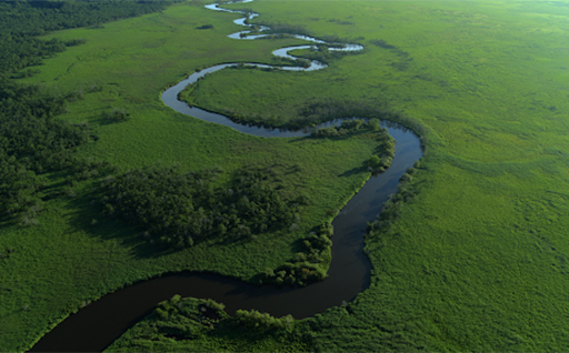 自然環境の保全に活用してほしい