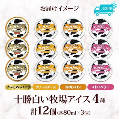 ååçœãç§å Žã¢ã€ã¹ å
šå³é£ã¹æ¯ã¹ã»ãã(4çš®Ãå3å)ãé
éäžå¯å°åïŒé¢å³¶ã»æ²çžçãã1675554ã