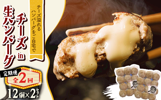 【毎月定期便】チーズ in ハンバーグ　生(12個入) 2セット全2回【配送不可地域：離島】【4080185】