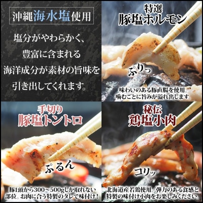 十勝 ジンギスカン＆焼肉3種セット 各1パック 手切り羊肉 ホルモン トントロ 鶏塩 北海道 帯広市【配送不可地域：離島】【1501769】