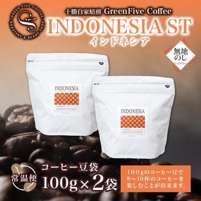 熨斗 コーヒー豆 インドネシア 100g 2袋 鮮度を高めたスペシャルティコーヒー 北海道 帯広市【1555305】