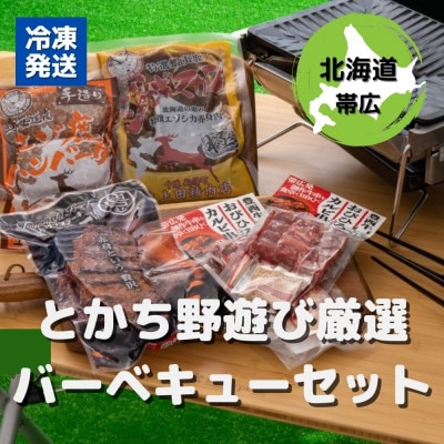 とかち野遊び厳選バーベキュー4種セット【配送不可地域：離島】【1338562】