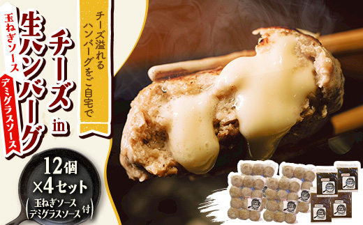 チーズ in 生ハンバーグ 12個×4(玉ねぎソース150g、デミグラスソース250g 各2個)【配送不可地域：離島】【1673882】