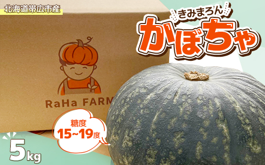 北海道帯広市産　かぼちゃ「きみまろん」5kg　糖度15〜19度【1608373】
