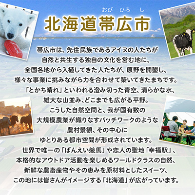 十勝ブラウンスイス乳プリン20個【配送不可地域：離島】【1207163】