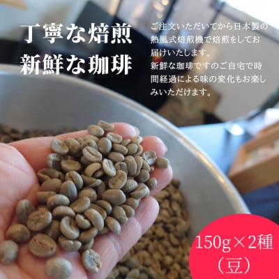 çä¹çç² ã¹ãã·ã£ã«ãã£ã³ãŒããŒãæµ
ç
ãã»äžç
ãã(è±)ã1624365ã