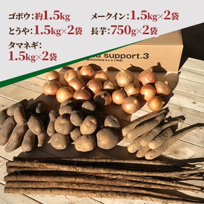 冬の味覚野菜5種セット A 計約12kg 北海道十勝帯広産【配送不可地域：離島】【1497189】