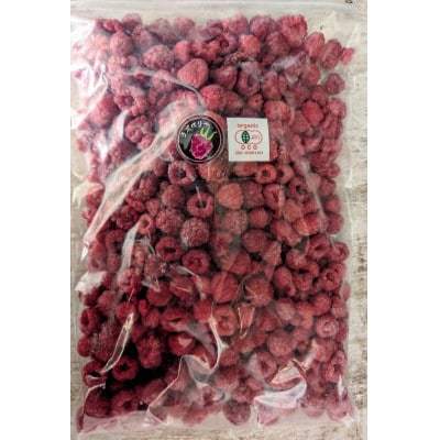 有機JAS認証  訳あり 冷凍ラズベリー 500g 【十勝産 希少品種】【配送不可地域：離島】【1725982】