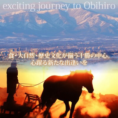 【北海道ツアー】帯広市 後から選べる旅行Webカタログで使える!旅行クーポン 90万円分【1181752】