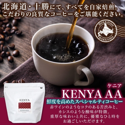 熨斗 コーヒー豆 ケニア 100g 2袋 鮮度を高めたスペシャルティコーヒー 北海道 帯広市【1555303】