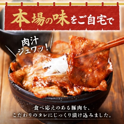 十勝 豚丼＆豚丼ボール(各1パック)焼くだけ 食べきりサイズ 秘伝のタレ付き 北海道 帯広市【配送不可地域：離島】【1555422】