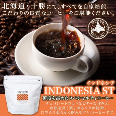 コーヒー豆 インドネシア 100g 2袋 鮮度を高めたスペシャルティコーヒー 北海道 帯広市【1536980】