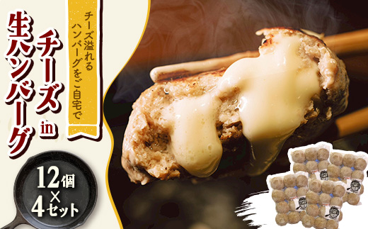 チーズ in 生ハンバーグ 12個×4セット グルテンフリー【配送不可地域：離島】【1673729】