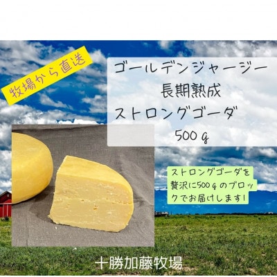 ゴールデンジャージー　長期熟成ストロングゴーダ　500g【配送不可地域：離島】【1601122】