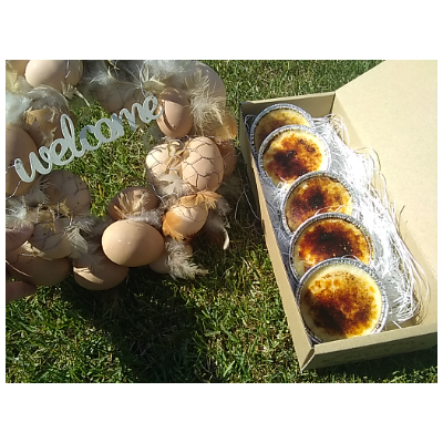 十勝産原料使用　濃厚クレームブリュレ　5個入り【配送不可地域：離島】【1233842】