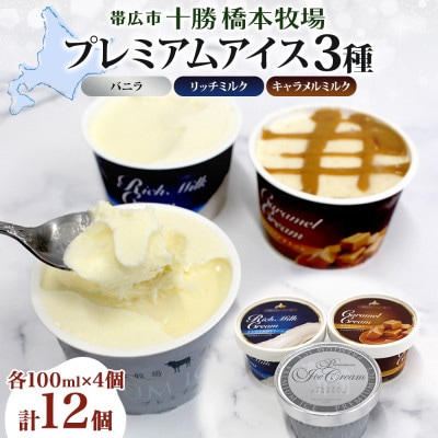 十勝橋本牧場 プレミアムアイス 全味食べ比べセット(3種×各4個)【配送不可地域：離島・沖縄県】【1675556】