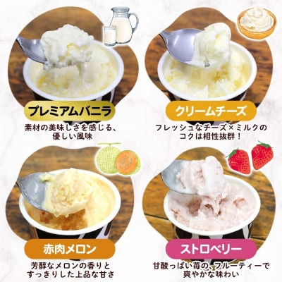 ååçœãç§å Žã¢ã€ã¹ å
šå³é£ã¹æ¯ã¹ã»ãã(4çš®Ãå3å)ãé
éäžå¯å°åïŒé¢å³¶ã»æ²çžçãã1675554ã