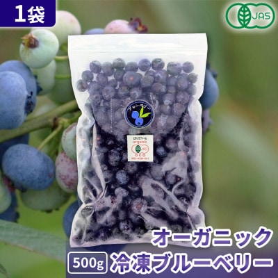 【令和8年8月以降出荷】有機JAS認証 冷凍ブルーベリー500g×1袋【北海道十勝産】【配送不可地域：離島】【1677071】