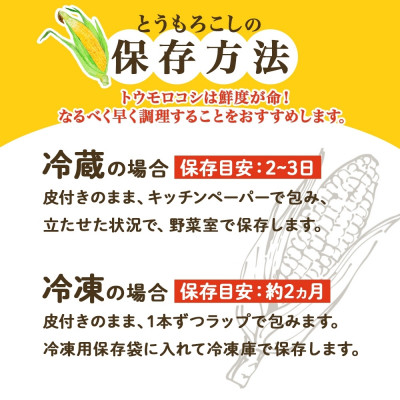 【2025年 先行受付】十勝 恵味ゴールド 10本 2Lサイズ 甘いスイートコーン 北海道 帯広市【配送不可地域：離島】【1499657】