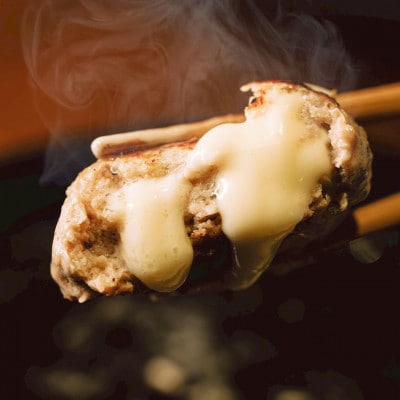 【毎月定期便】チーズ in ハンバーグ　グリル 4個入(玉ねぎソース) 2セット全2回【配送不可地域：離島】【4080190】