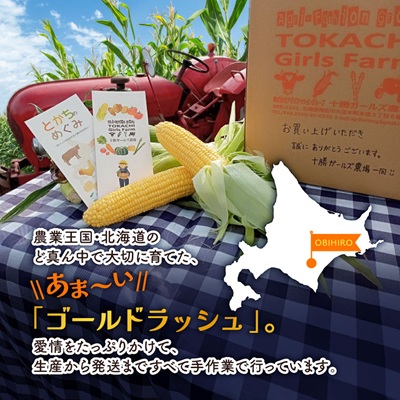 先行受付【十勝ガールズ農場】直送 朝もぎつぶつぶ「あま〜いゴールドとうもろこし」10本【配送不可地域：離島】【1462030】