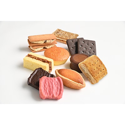 六花亭・六花撰 17個入【配送不可地域：離島】【1227401】