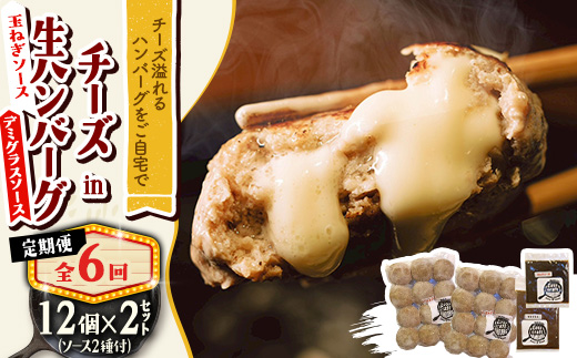 【毎月定期便】チーズハンバーグ(生)12個×2　玉ねぎソース150g、デミグラスソース250g全6回【配送不可地域：離島】【4080194】