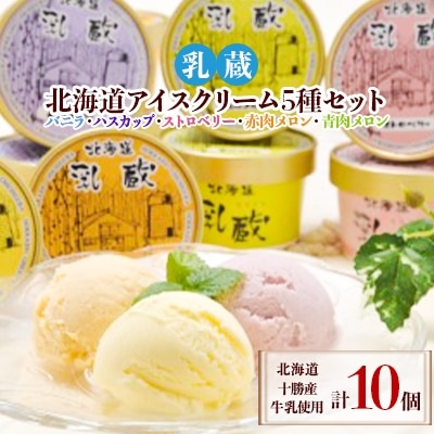 乳蔵北海道アイスクリーム5種セット(計10個)(110130)【配送不可地域：離島】【1206078】