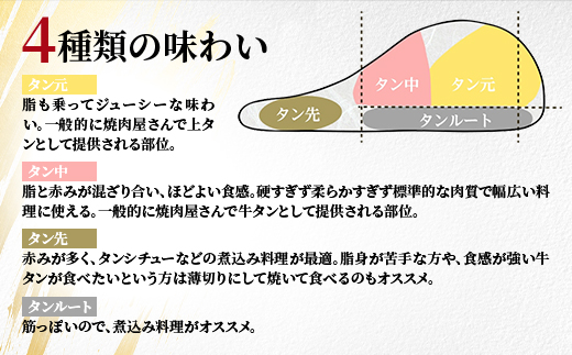 牛タン 1本【配送不可地域：離島】【1561084】