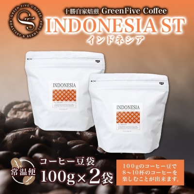 コーヒー豆 インドネシア 100g 2袋 鮮度を高めたスペシャルティコーヒー 北海道 帯広市【1536980】