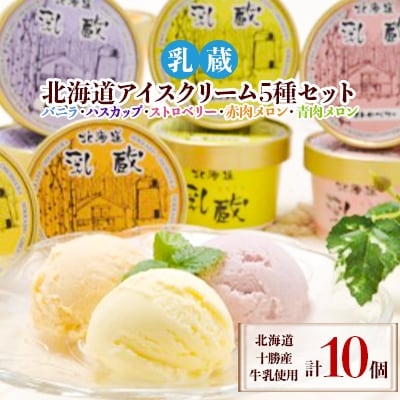 【毎月定期便】「乳蔵」北海道アイスクリーム5種10個〈110130〉全3回【配送不可地域：離島】【4013521】