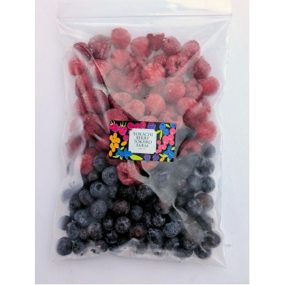 【北海道十勝産 贅沢ブレンド】冷凍ミックスベリー500g×1袋【配送不可地域：離島】【1677082】