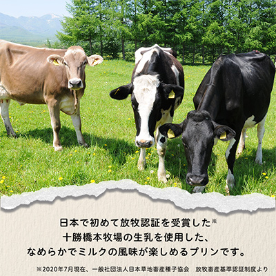 十勝ブラウンスイス乳プリン20個【配送不可地域：離島】【1207163】