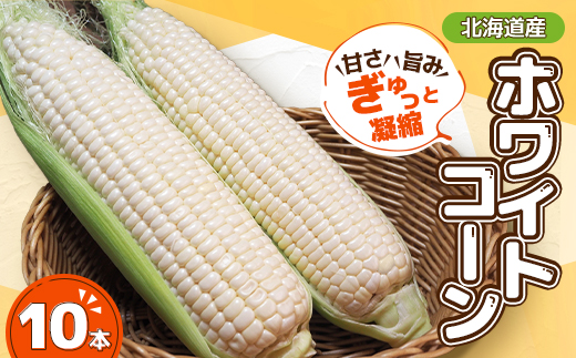 【先行受付】甘さ旨みぎゅっと凝縮ホワイトコーン 10本【配送不可地域：離島】【1676327】