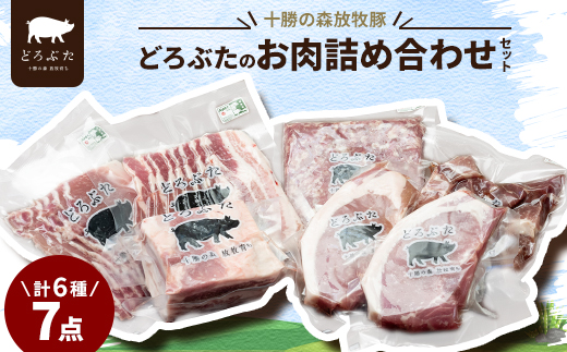 十勝の森放牧豚 どろぶたのお肉詰め合わせセット【配送不可地域：離島】【1486809】